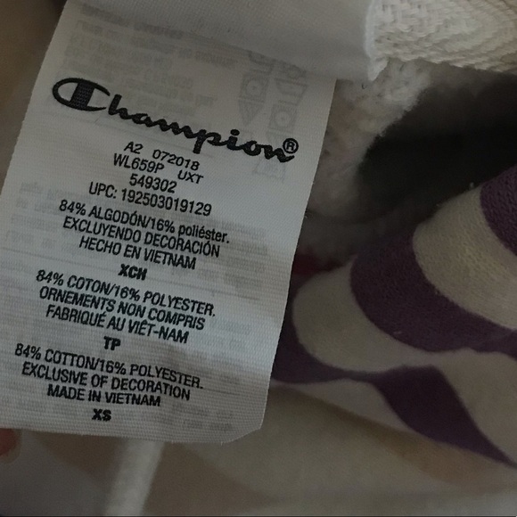 Champion UO Striped Cropped Reverse Weave Hoodie XS - Picture 10 of 12
